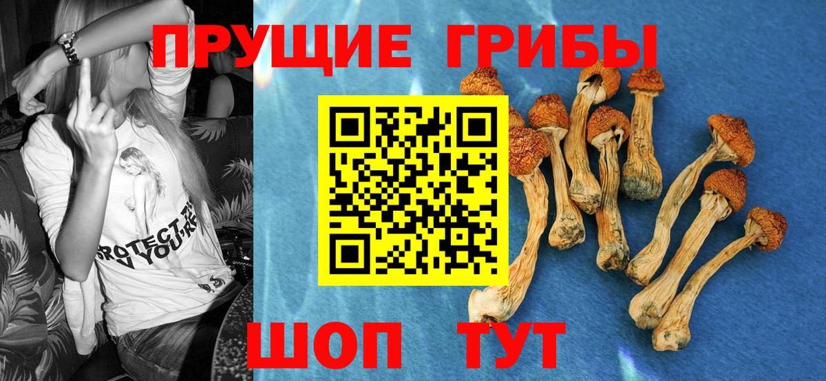 Псилоцибиновые грибы Cubensis  Вход с VPN  Кстово  Псилоцибиновые грибы мухоморы 